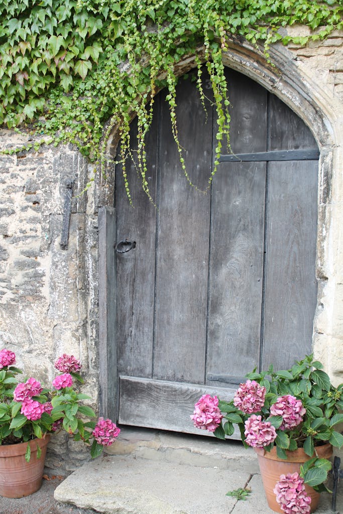 Rustic wooden door framed with ivy and hydrangea flowers, creating a charming vintage exterior.